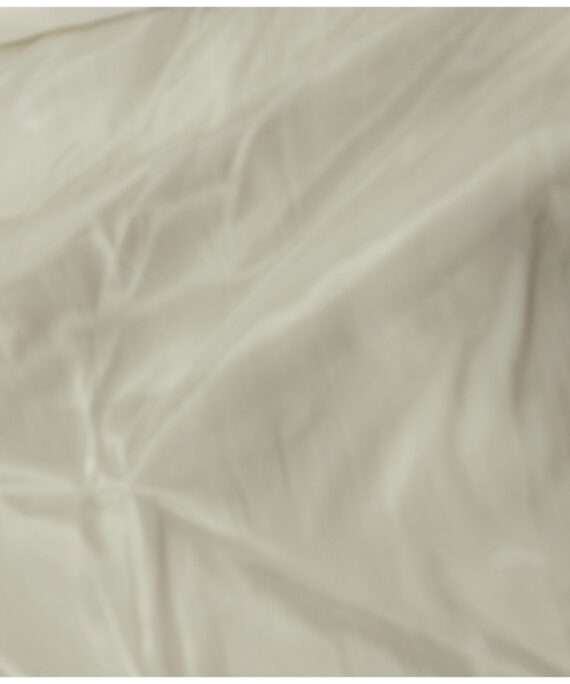 PLAIN DYABLE BANARASI SILK FABRIC