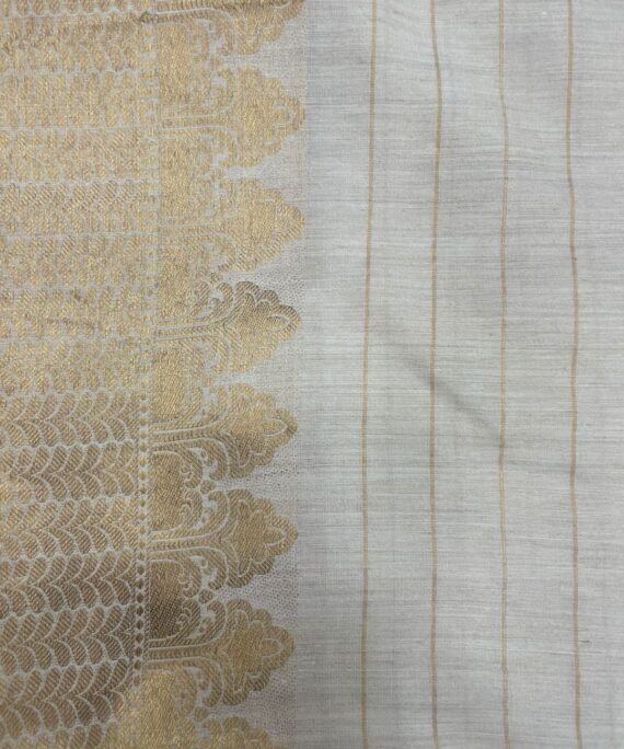 Munga Silk with Daman Border