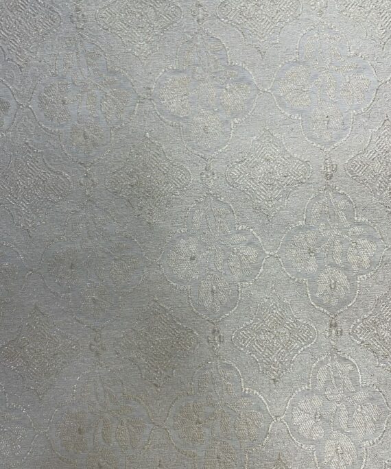 Munga Silk with  jaal design